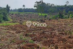 Lahan Kosong Dijual di Rumpin, Bogor, Luas 20000m2 Area Strategis Lahan Kosong Dijual di Rumpin, Bogor, Luas 20000m2 Area Strategis