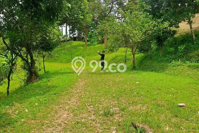 Jarang Ada! Tanah di Cigudeg Punya Luas 5800m2 SHM Jarang Ada! Tanah di Cigudeg Punya Luas 5800m2 SHM