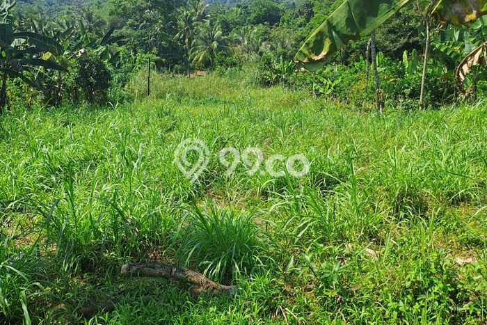 Kavling Tanah Dijual di Rumpin, Bogor, Luas 1400m2 Area Strategis Kavling Tanah Dijual di Rumpin, Bogor, Luas 1400m2 Area Strategis