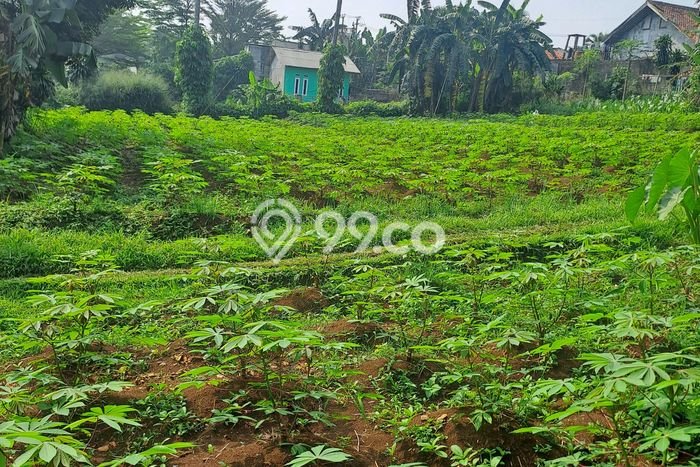 Tanah Dijual Lokasi Ranca Bungur, Bogor dengan Luas Tanah 12000m2 dan Status SHM Tanah Dijual Lokasi Ranca Bungur, Bogor dengan Luas Tanah 12000m2 dan Status SHM