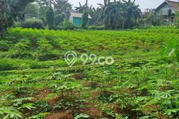 Tanah Dijual Lokasi Ranca Bungur, Bogor dengan Luas Tanah 12000m2 dan Status SHM Tanah Dijual Lokasi Ranca Bungur, Bogor dengan Luas Tanah 12000m2 dan Status SHM