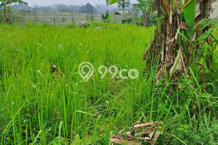 Jarang Ada! Tanah di Caringin Punya Luas 700m2 SHM Jarang Ada! Tanah di Caringin Punya Luas 700m2 SHM