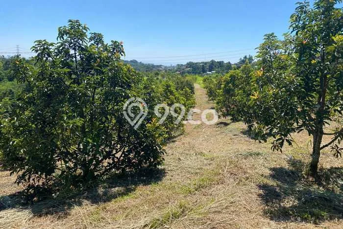 Tanah untuk Dijual di Bojong Genteng Sukabumi Luas 75000m2 Tanah untuk Dijual di Bojong Genteng Sukabumi Luas 75000m2