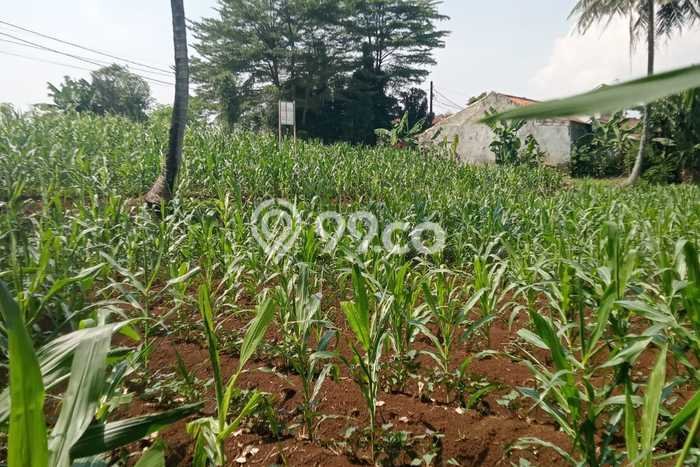 Tanah Kosong Dijual di Bogor dengan Area 1014m2 Tanah Kosong Dijual di Bogor dengan Area 1014m2