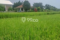 Lahan Dijual Lokasi Ciampea, Bogor dengan Luas Tanah 1800m2 dan Status - Lahan Dijual Lokasi Ciampea, Bogor dengan Luas Tanah 1800m2 dan Status -