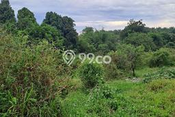 Lahan Kosong Dijual di Bogor dengan Area 8000m2 Lahan Kosong Dijual di Bogor dengan Area 8000m2