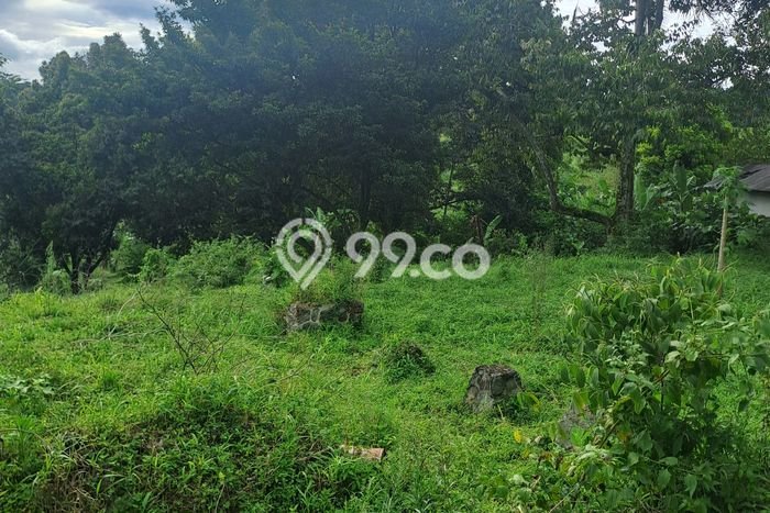 Kavling Tanah Dijual di Megamendung Bogor Spesifikasi 9000m2 Kavling Tanah Dijual di Megamendung Bogor Spesifikasi 9000m2