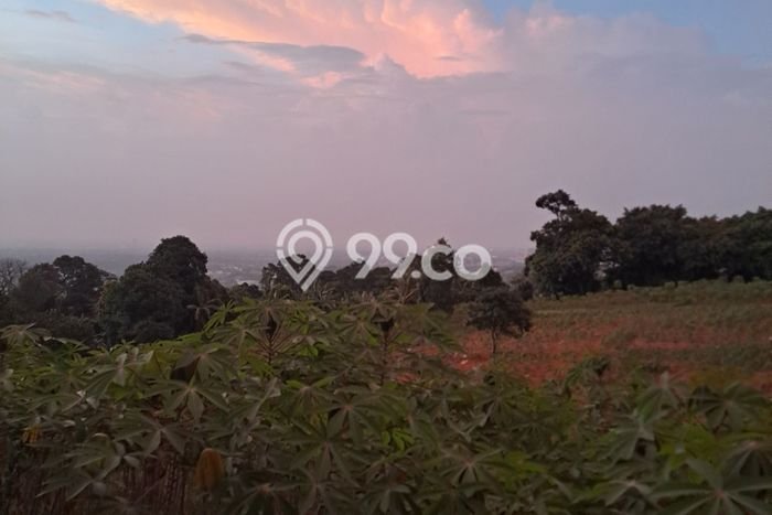 Tanah Dijual di Bogor Seluas 10000m2 Strategis Tanah Dijual di Bogor Seluas 10000m2 Strategis
