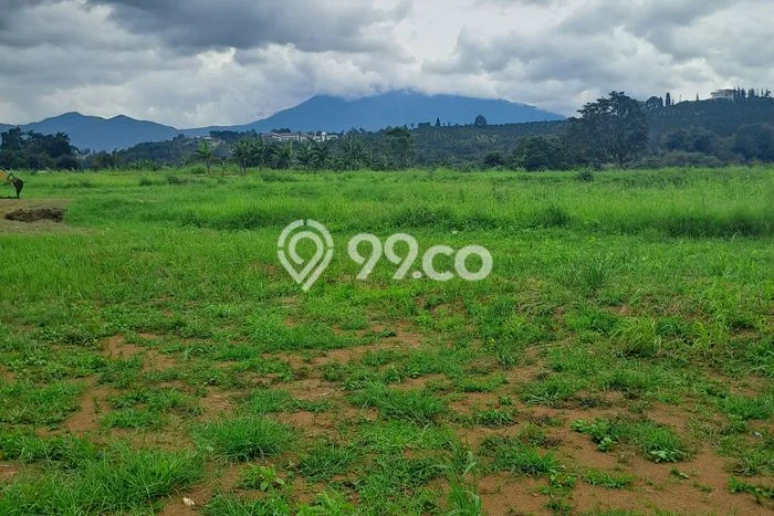 Tanah Kavling Dijual di Bogor dengan Spesifikasi 10000m2 Tanah Kavling Dijual di Bogor dengan Spesifikasi 10000m2