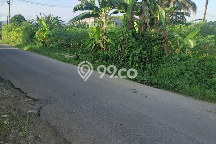 Lahan untuk Dijual di Ranca Bungur Bogor Luas 600m2 Lahan untuk Dijual di Ranca Bungur Bogor Luas 600m2