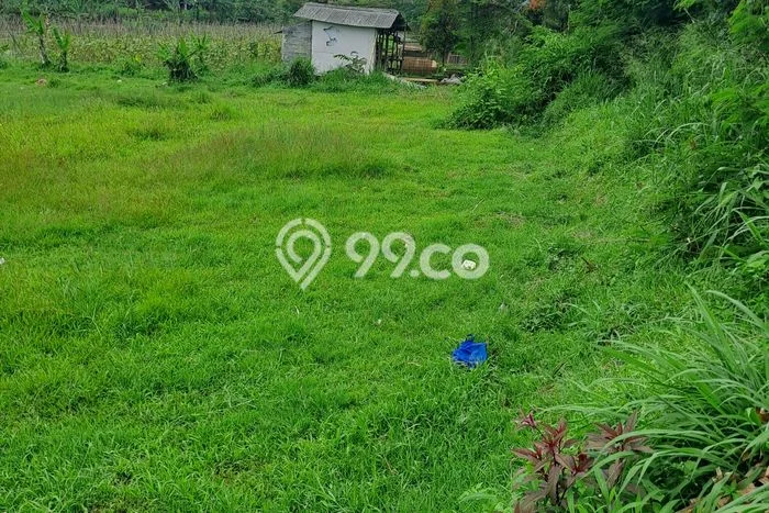 Tanah untuk Dijual Lokasi Cigombong, Bogor Luas 2000m2 SHM Tanah untuk Dijual Lokasi Cigombong, Bogor Luas 2000m2 SHM