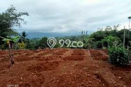 Tanah Investasi Dijual di Bogor Punya Luas 200000m2 Tanah Investasi Dijual di Bogor Punya Luas 200000m2