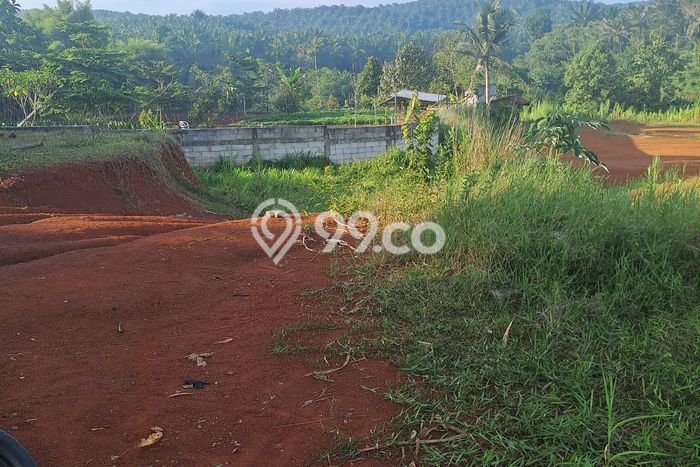 Tanah Kavling untuk Dijual di Ranca Bungur Bogor 20000m2 Tanah Kavling untuk Dijual di Ranca Bungur Bogor 20000m2