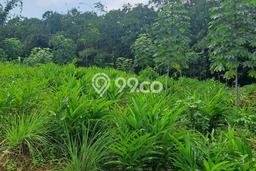 Tanah untuk Dijual Lokasi Rumpin, Bogor Luas 10000m2 - Tanah untuk Dijual Lokasi Rumpin, Bogor Luas 10000m2 -