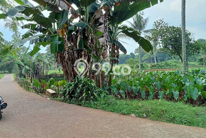 Jual Tanah di Kemang, Luas 1250m2m², Lokasi Potensial Jual Tanah di Kemang, Luas 1250m2m², Lokasi Potensial