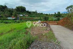 Lahan untuk Dijual di Cisarua Bogor Luas 500m2 Lahan untuk Dijual di Cisarua Bogor Luas 500m2