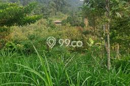 Kavling Tanah Dijual di Nanggung Bogor Spesifikasi 200000m2 Kavling Tanah Dijual di Nanggung Bogor Spesifikasi 200000m2