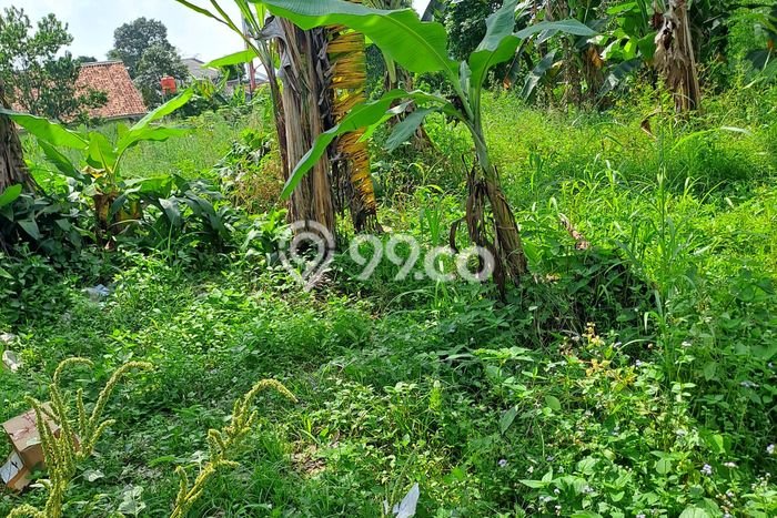 Untuk Dijual Tanah di Bogor, Luas 15000m2 SHM Untuk Dijual Tanah di Bogor, Luas 15000m2 SHM