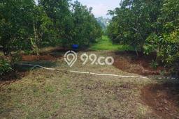 Tanah Kavling Dijual di Bogor dengan Spesifikasi 120000m2 Tanah Kavling Dijual di Bogor dengan Spesifikasi 120000m2