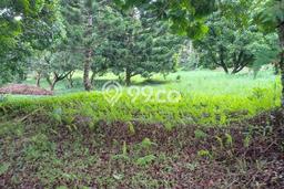 Tanah Dijual Lokasi Cisarua, Bogor dengan Luas Tanah 10000m2 dan Status SHM Tanah Dijual Lokasi Cisarua, Bogor dengan Luas Tanah 10000m2 dan Status SHM
