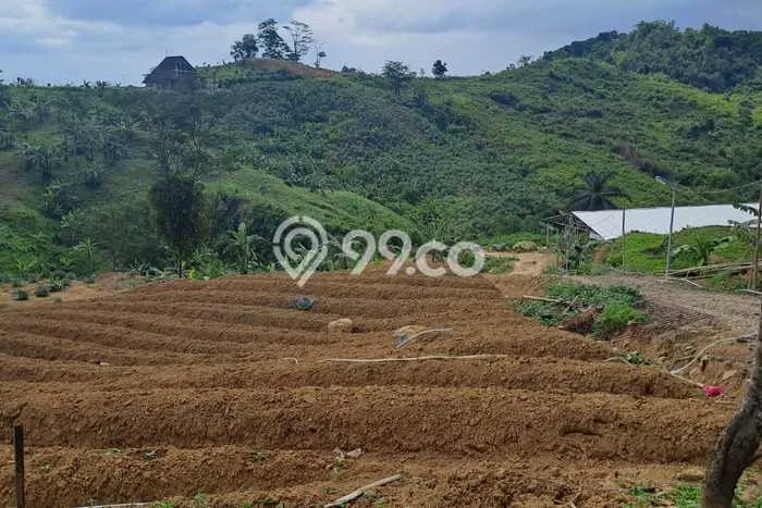 AREA PROSPEKTIF! Tanah di Sukamakmur, Luas 3500m2m², Dekat Fasilitas Umum AREA PROSPEKTIF! Tanah di Sukamakmur, Luas 3500m2m², Dekat Fasilitas Umum