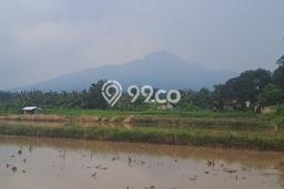 Lahan Dijual Lokasi Ciampea, Bogor dengan Luas Tanah 50000m2 dan Status SHM Lahan Dijual Lokasi Ciampea, Bogor dengan Luas Tanah 50000m2 dan Status SHM