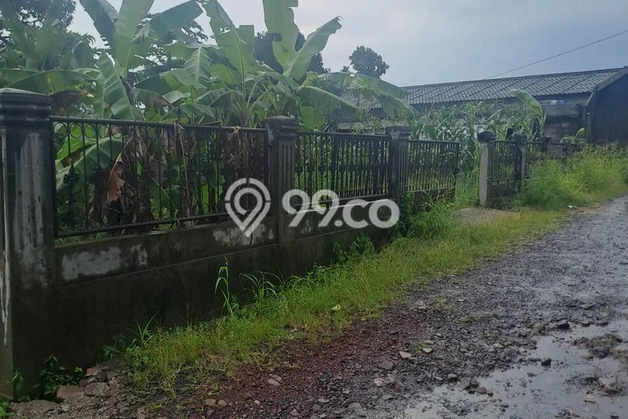 Tanah untuk Dijual Lokasi Ciampea, Bogor Luas 600m2 SHM Tanah untuk Dijual Lokasi Ciampea, Bogor Luas 600m2 SHM