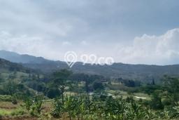 Tanah Dijual di Bogor Seluas 18000m2 Strategis Tanah Dijual di Bogor Seluas 18000m2 Strategis