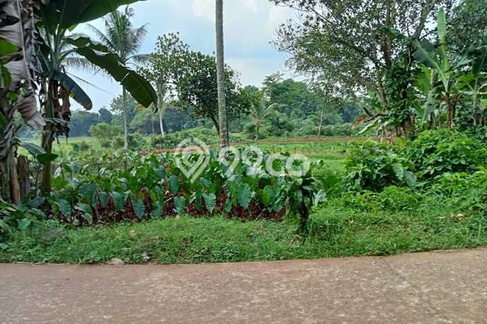 Jual Tanah di Kemang, Luas 1250m2m², Lokasi Potensial Jual Tanah di Kemang, Luas 1250m2m², Lokasi Potensial