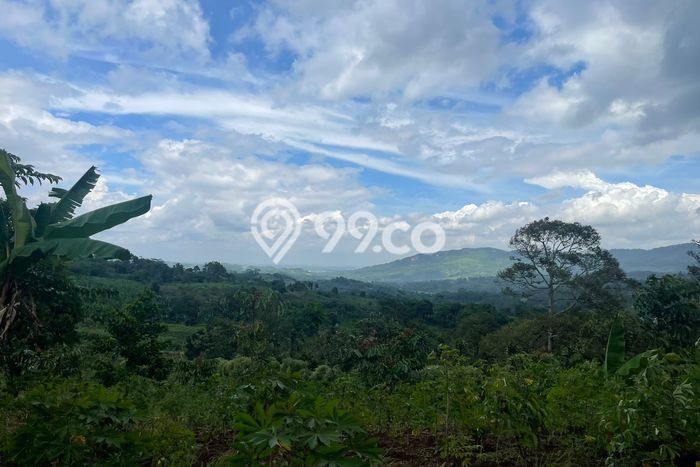 Tanah untuk Dijual Lokasi Sukamakmur, Bogor Luas 3500m2 SHM Tanah untuk Dijual Lokasi Sukamakmur, Bogor Luas 3500m2 SHM