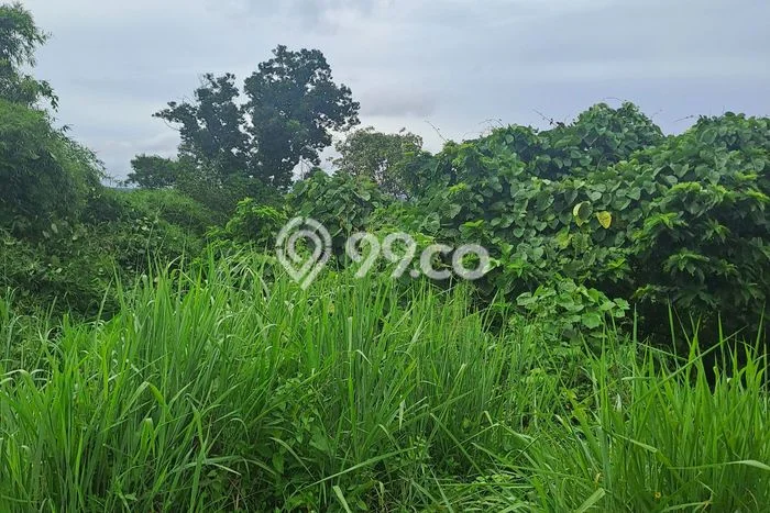 Kavling Tanah Dijual di Jasinga, Bogor, Luas 220000m2 Area Strategis Kavling Tanah Dijual di Jasinga, Bogor, Luas 220000m2 Area Strategis