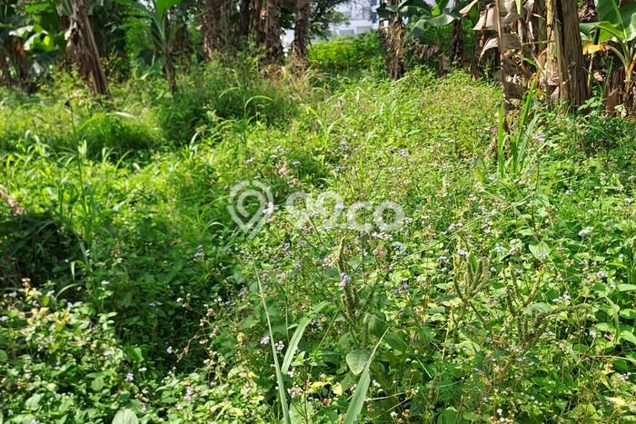 Untuk Dijual Tanah di Bogor, Luas 15000m2 SHM Untuk Dijual Tanah di Bogor, Luas 15000m2 SHM