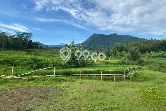 Lahan Strategis di Sukamakmur Dijual dengan Luas 37000m2 Lahan Strategis di Sukamakmur Dijual dengan Luas 37000m2