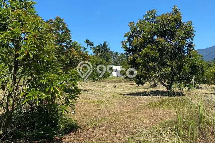 Tanah untuk Dijual di Bojong Genteng Sukabumi Luas 75000m2 Tanah untuk Dijual di Bojong Genteng Sukabumi Luas 75000m2