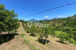 Tanah untuk Dijual di Bojong Genteng Sukabumi Luas 75000m2 Tanah untuk Dijual di Bojong Genteng Sukabumi Luas 75000m2