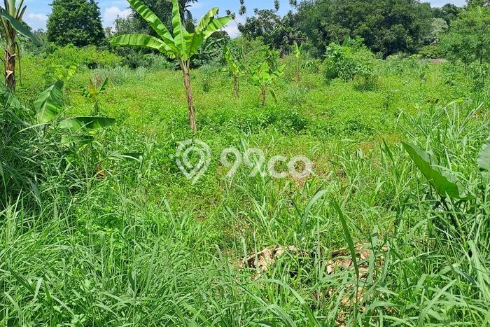 Dijual Tanah Lokasi Sentul, Bogor Seluas 15000m2 Dijual Tanah Lokasi Sentul, Bogor Seluas 15000m2
