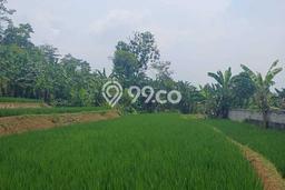 Lahan Dijual Lokasi Caringin, Bogor dengan Luas Tanah 1500m2 dan Status SHM Lahan Dijual Lokasi Caringin, Bogor dengan Luas Tanah 1500m2 dan Status SHM