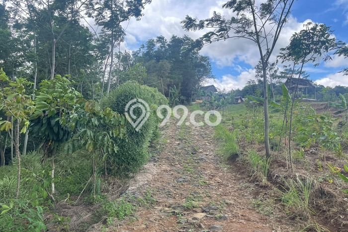 Tanah untuk Dijual Lokasi Sukamakmur, Bogor Luas 3500m2 SHM Tanah untuk Dijual Lokasi Sukamakmur, Bogor Luas 3500m2 SHM