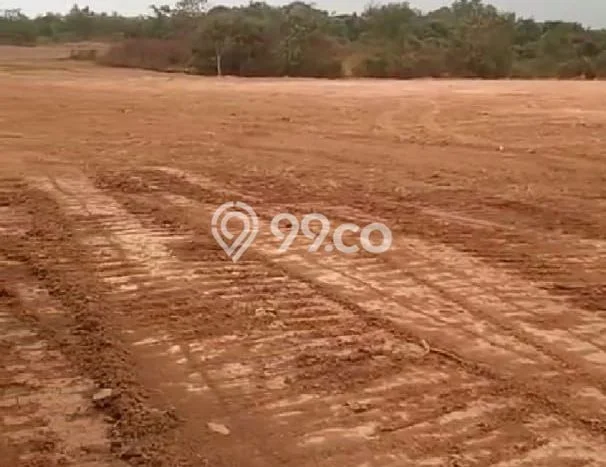 Jarang Ada! Tanah di Rangkasbitung Punya Luas 28000m2 SHM Jarang Ada! Tanah di Rangkasbitung Punya Luas 28000m2 SHM