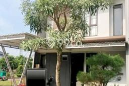 Jual Rumah Modern 3 KT di BSD City, Tangerang Jual Rumah Modern 3 KT di BSD City, Tangerang