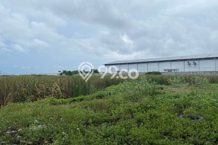Lahan Dijual Lokasi Strategis di Tangerang dengan Luas 5000m2 Lahan Dijual Lokasi Strategis di Tangerang dengan Luas 5000m2