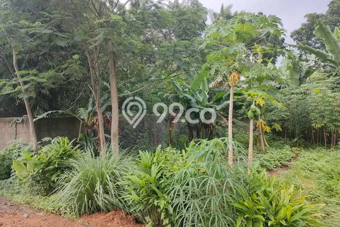 Pabrik Dijual di Kawasan Rangkasbitung, Lebak Harga Kompetitif Pabrik Dijual di Kawasan Rangkasbitung, Lebak Harga Kompetitif