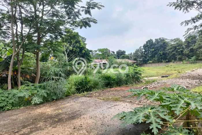 Unit Gudang disewakan di Rangkasbitung Lebak dengan LT 10200m2 / LB 1500m2 Unit Gudang disewakan di Rangkasbitung Lebak dengan LT 10200m2 / LB 1500m2