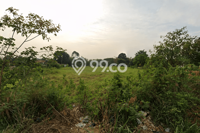 Lahan untuk Dijual Lokasi Serang, Serang Luas 13000m2 SHM Lahan untuk Dijual Lokasi Serang, Serang Luas 13000m2 SHM
