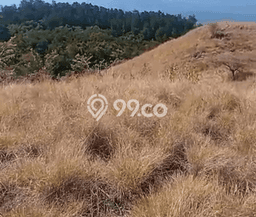 Tanah Dijual Lokasi Komodo Manggarai Barat SHM Tanah Dijual Lokasi Komodo Manggarai Barat SHM