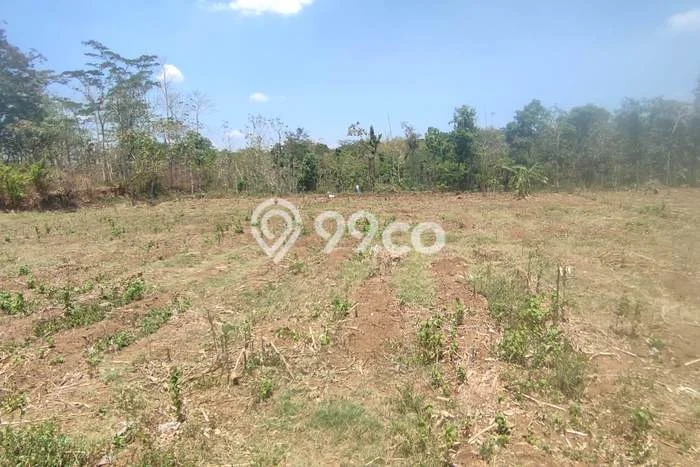 Lahan untuk Dijual di Ampel Boyolali Luas 6721m2 Lahan untuk Dijual di Ampel Boyolali Luas 6721m2
