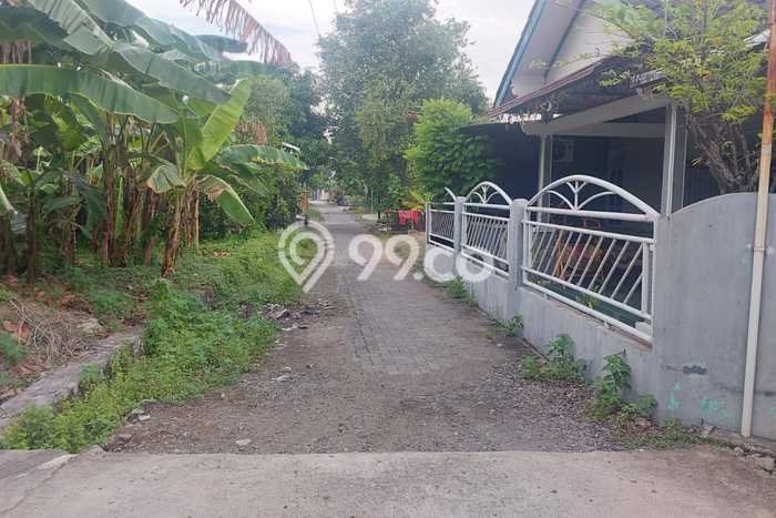 Rumah Modern Cantik 3 Kamar Bisa Langsung Pindah di Mranggen Rumah Modern Cantik 3 Kamar Bisa Langsung Pindah di Mranggen