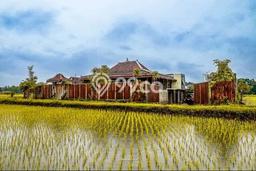 Vila di Kasihan, Dimensi 525m2m², Akses ke berbagai fasilitas umum Vila di Kasihan, Dimensi 525m2m², Akses ke berbagai fasilitas umum