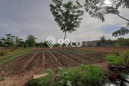 Tanah Kavling untuk Dijual di Babelan Bekasi 1700m2 Tanah Kavling untuk Dijual di Babelan Bekasi 1700m2