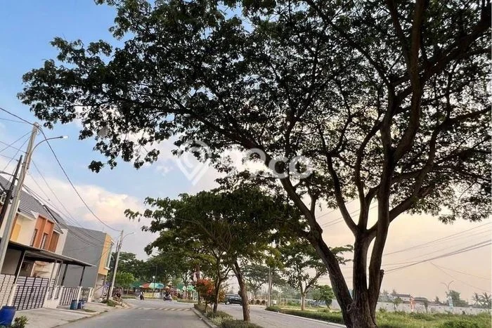 Rumah Minimalis Dijual Lokasi Babelan 3 Kamar dengan Luas Tanah 72m2 Rumah Minimalis Dijual Lokasi Babelan 3 Kamar dengan Luas Tanah 72m2